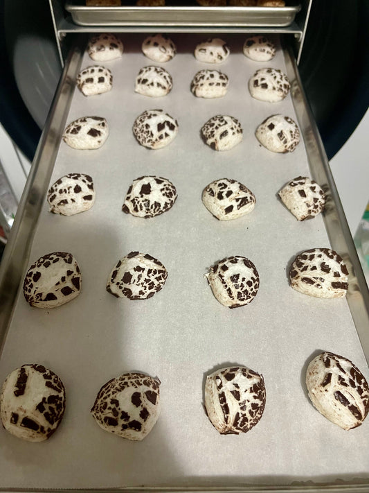 Freeze-Dried New York Peppermint Patties